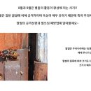 와동태권도 이미지