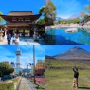 화산궁 | 일본 유후인 버스투어 당일 온천 내돈내산 후쿠오카 버스투어 후기
