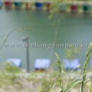 추곡터널낚시터 이미지