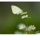 동두천-044 이미지