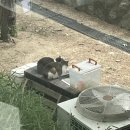 팀플PC | [대학진학] 숙대 앙트러프러너십학과 1학년 직대딩 후기