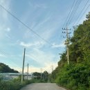 금호로1길 이미지