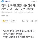 정부, 입국 전 코로나19 검사 폐지로 가닥…국가 구분 안할 듯 이미지