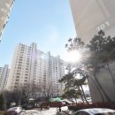 파랑새공인중개사사무소 이미지