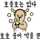 전낭자구이도령 이미지