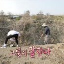 성훈농장 이미지