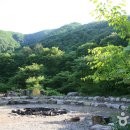 운장산자연휴양림 이미지