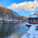 눈꽃이피다 이미지