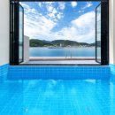 파레사애견풀빌라 이미지