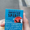 PC나무