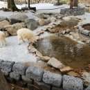 채운목장 이미지