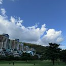 비발디파크사우나 이미지