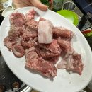 코끼리생막창 이미지