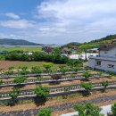 선학농장 이미지