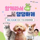 댕댕테이블 | 김포시 반려문화축제 함께라서 댕댕하개 후기