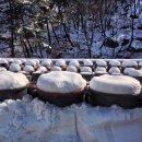 현대그린텍 이미지