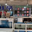 바우활어