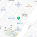 달링하이 강아지분양 창원점 이미지