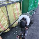 [12월 24일] 사회적응활동 - 재활용분리수거 / 욕구식단(김밥, 탕수육, 시금치나물) 이미지