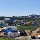 영목항정류소 이미지