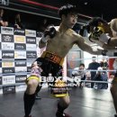 액티브 복싱클럽 이미지