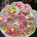 예린유치원 | 10월 3-4주차, 가을 일상 기록 🍁🤎