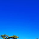 곡성-260 이미지