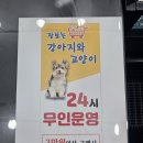 장보는강아지와고양이 신호점 이미지