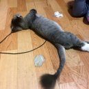 이화해변아파트 이미지
