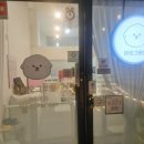 별그루밍 | 옥정애견미용 바오그루밍 추천