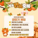 2025청도반시축제 | 🍊 2025 청도 반시축제 완전정복