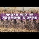 남양농약사