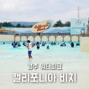 썬츄러스 | 경주 캘리포니아비치 워터파크 골드시즌 주말 오픈런 놀이기구 음식 썬베드 대여 후기