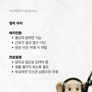 전보마케팅 | 전보발령 뜻, 배치전환 차이, 법적으로 뭐가 다를까?