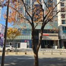 남일전자 | 벡스코 근처 부산 가족여행 가성비 오션뷰 호텔 "트레블로지스위트 부산센텀"