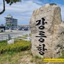 (강릉항) 강릉 커피거리 안목해변 산책 / 강릉 가볼만한곳