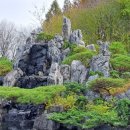 왕의 정원 이미지