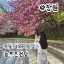 농어촌복합체육시설 | 경남 놀러갈만한곳 창원 겹벚꽃 명소 늘푸른전당 산책코스 실시간