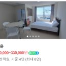 썰트(SULT) 네이버블로그