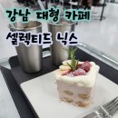 [강남역 대형카페] 티라미수 맛집 셀렉티드닉스 방문 후기