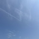 운주 좋은 날 | [제주] 승마체험 운주승마클럽 후기