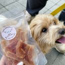 짱블리 짱금이 | 대구 현풍 테크노폴리스 강아지 수제간식 전문점 짱블리짱금이 반려동물 전문가가 만들어 믿을 수 있는 곳