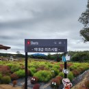 고석정광장 | 추석 연휴에 여행 친구들과 다녀왔던 철원 고석정꽃밭 축제