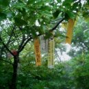 물삼거리 이미지