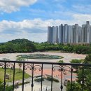밍차이나 | 일산 호수공원 중식 맛집 밍차이 세트 메뉴 내돈내산 솔직후기 웨이팅,주차정보