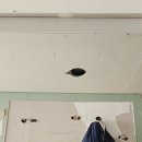 궁동어린이집 | 송파 후드 일체형 인덕션 점검구 없이 주방 소화기 설치 업체 비용 안내