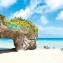 파라다이스 이미지