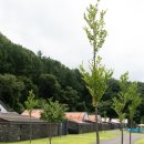 베토벤마을 POOL 글램핑 이미지