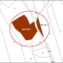 세광 부동산중개사무소 이미지