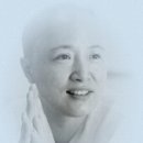 천년바위 이미지